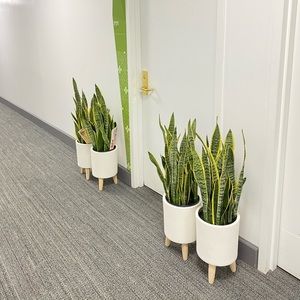 Meet your Posher, Young